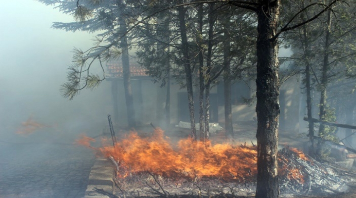 Anız Yangını Ormanlık Alanı Kül Etti