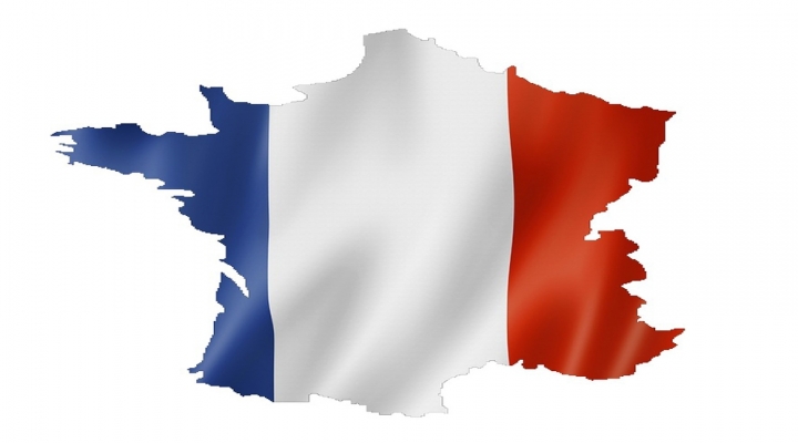 Her Beş Fransızdan Biri Ülkesini Terk Etmeye Hazır