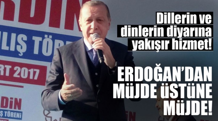 Cumhurbaşkanı Recep Tayyip Erdoğan Mardin'de Halka Seslendi.